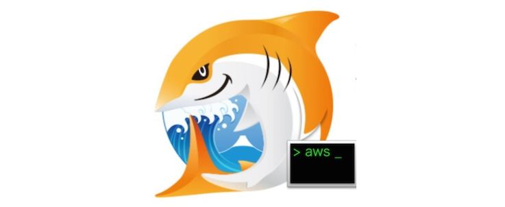 JAWS-UG CLI 専門支部 #269R (入門者向け) AWS CLI 環境入門(Cloud9)